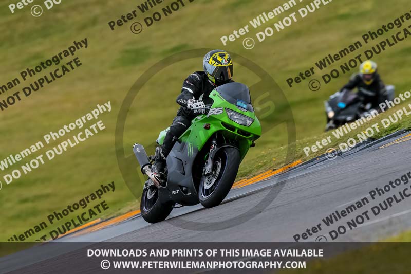 PJ Motorsport 2019;anglesey no limits trackday;anglesey photographs;anglesey trackday photographs;enduro digital images;event digital images;eventdigitalimages;no limits trackdays;peter wileman photography;racing digital images;trac mon;trackday digital images;trackday photos;ty croes